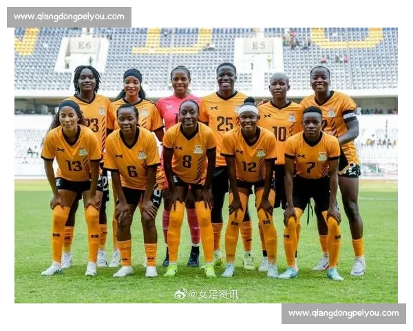 非洲杯赛历史荣耀与新生力量交织的激情绿茵盛宴全景解读深度观察